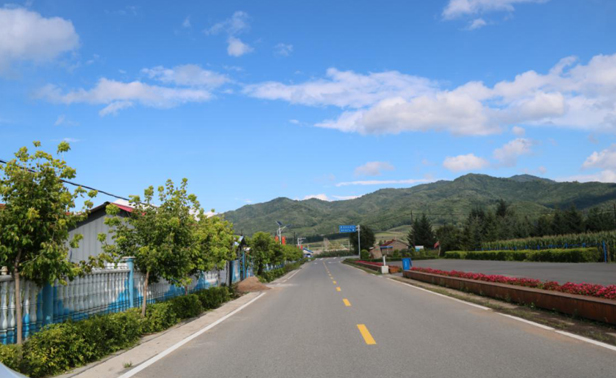 易游体育